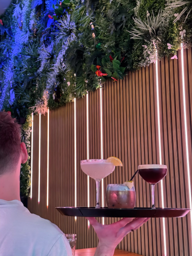 Cocktails sur un plateau du barman du Tôt ou Tard Toulouse